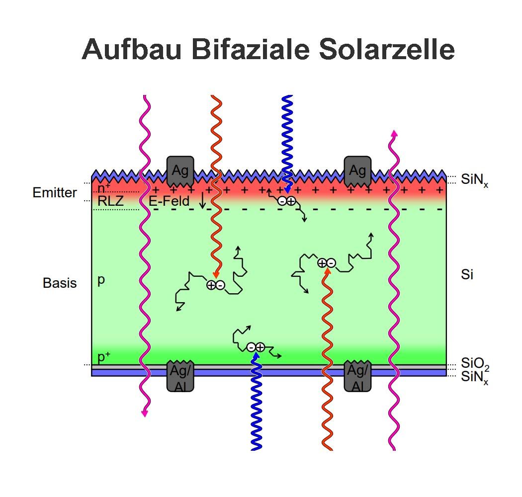 Aufbau Bifaziale Solarzelle.Dfc65Cp5