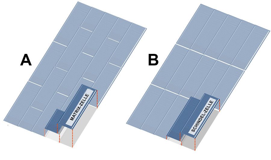 Matrixschindelzelle Vs Normale Schindelzelle.D6bB FA8