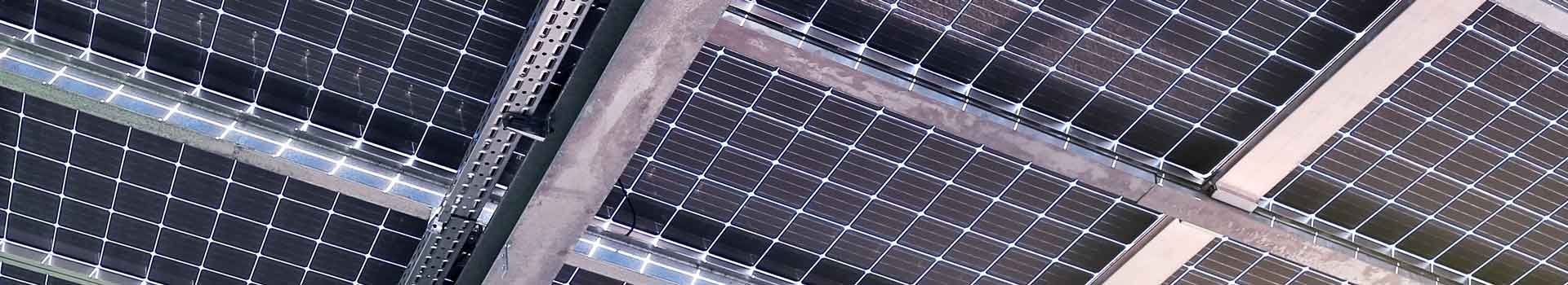 Bifacial Solarmodule Transparent.B7MfDVam