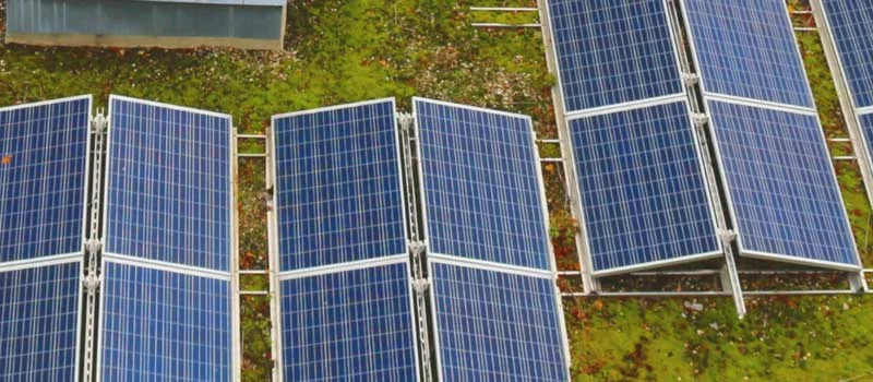 Aufgeständerte Solarmodule auf einem begrünten Flachdach