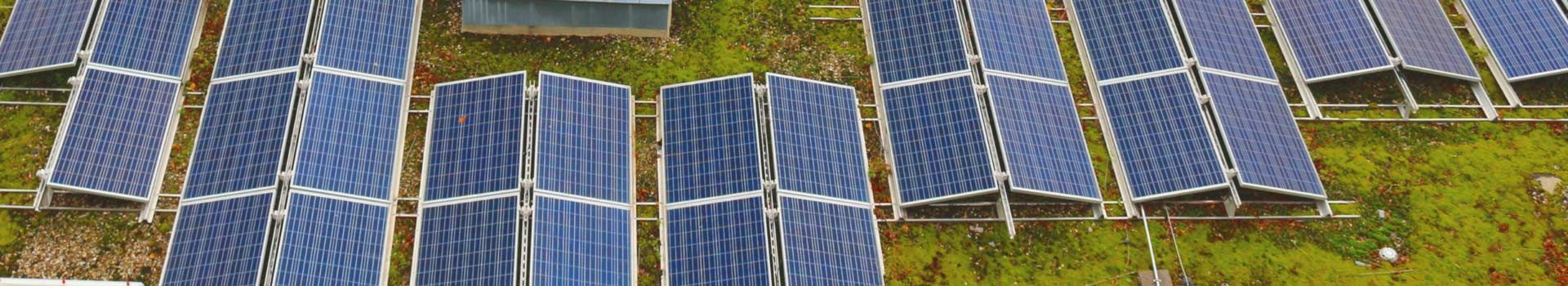 Aufgeständerte Solarmodule auf einem begrünten Flachdach
