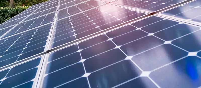 Solarmodule im Sonnenlicht vor grüner Vegetation